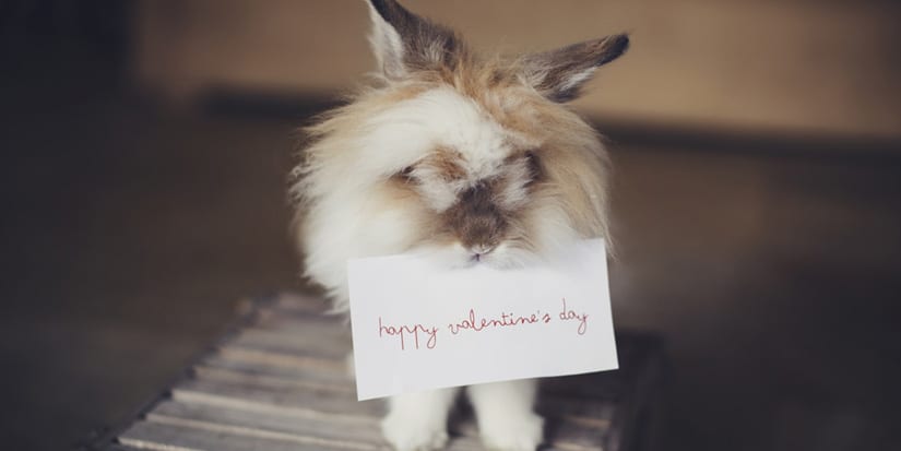 12 Unconventional Valentine’s Day Dates