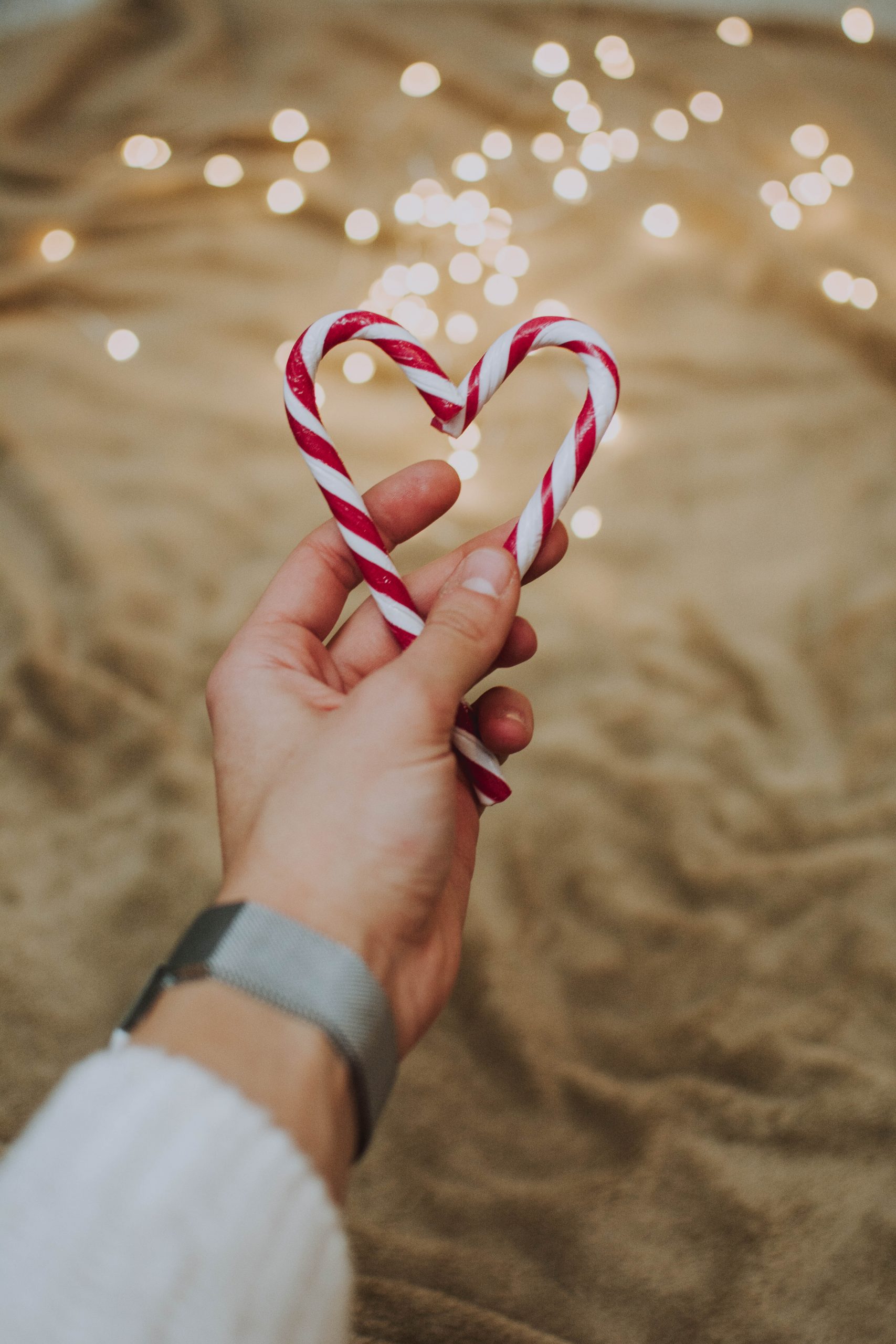 Surviving the holidays as a single